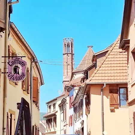 Le Nid Des Dominicains Spacieux Et Lejlighed